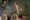 c-sonja_werner_2889.jpg